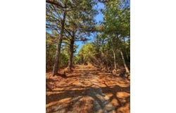 05 Holloway Road, Hamilton, AL 35552