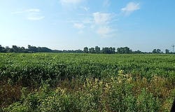 1455 W Hyde Road, St. Johns, MI 48879