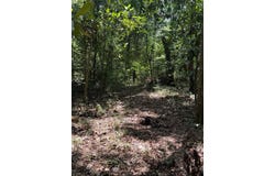 Fallow Road, Lamont, FL 32336