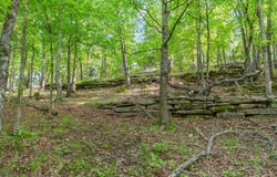 El Monte - Lot 2, Branson, MO 65616