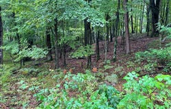 DOEDE Road, IOLA, WI 54945