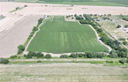 21343 Norene Drive, Elsa, TX 78538