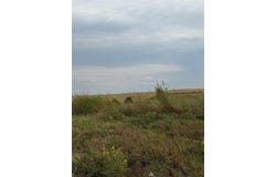 39111 Us Highway 281, Apache, OK 73006