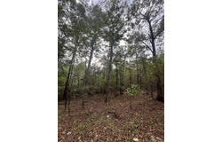 TBD #2 N Chaparral, Mena, AR 71953