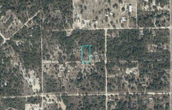 NE 91ST Place, BRONSON, FL 32621