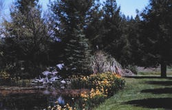 4001 Branscomb RD, Laytonville, CA 95454
