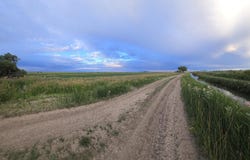 Williams Road, Riverton, WY 82501