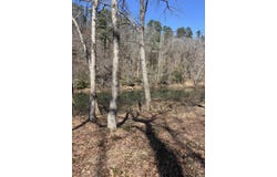 Quail Lane, Murfreesboro, AR 71958