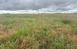 Drummond Area, OK, Drummond, OK 73735