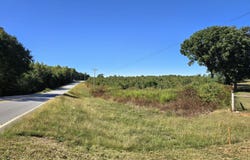 Highway 172, Comer, GA 30629