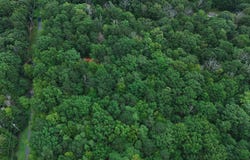 434 Squirrel Road, Dingmans Ferry, PA 18328
