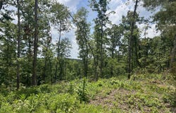 4600 Silerton Road, Henderson, TN 38340