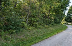 300+ Hackney Ln, Bedford, KY 40006