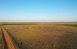 CR 146, Rule, TX 79547