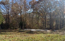 16200 Robin Road lot: 10-11, Bella Vista, AR 72715
