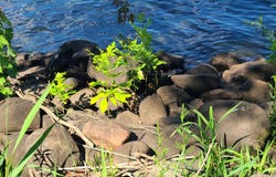 Sunset Trail, Pine City, MN 55063