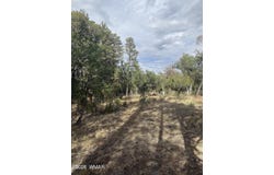 1522 Foxtail Lane, Heber, AZ 85928