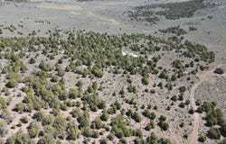 Pot creek Rd, Dinosaur, CO 81610