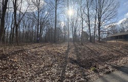 Crestview Dr, BUMPUS MILLS, TN 37028