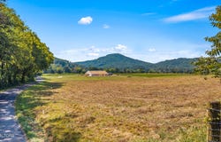 Tree Top Lane, Tellico Plains, TN 37385