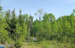 7573 Thumbnail Drive, Embarrass, MN 55732