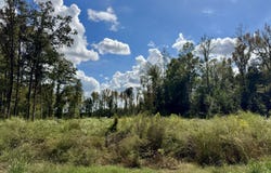 Neilson Road, Columbus, MS 39766