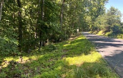 SPOTTSWOOD RD, SPOTTSWOOD, VA 24476