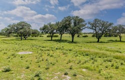 TBD Hohn Rd, Nordheim, TX 78141