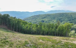 UC001 Botetourt Road, Eagle Rock, VA 24085