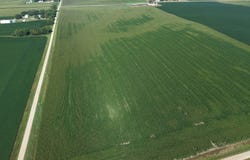 Hwy 75, Luverne, MN 56156