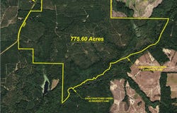 Addie Dairy Road, Preston, GA 31824