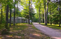 3054 Webb Road, Wolverine, MI 49799-9785