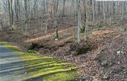Wolfsbane Trail, Todd, NC 28684