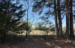 County Road 4310, Avery, TX 75554