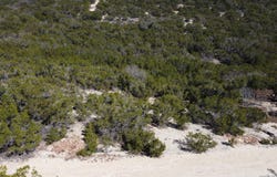 Canyon Lk E, Bandera, TX 78003