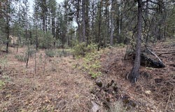 Fireline, Bickleton, WA 99322