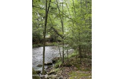 Old Turnpike Rd, Drums, PA 18222