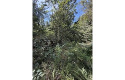 State Route 121, Bardwell, KY 42023