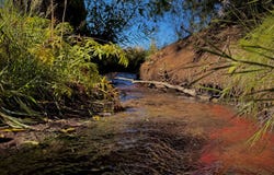 402 B Hondo Seco Rd, El Prado, NM 87514