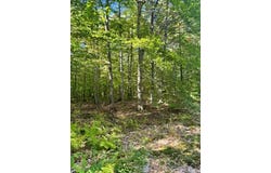 Beech Ridge Road, Jay, ME 04239