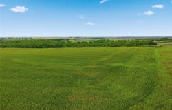 HCR 3165 Road, Abbott, TX 76621