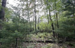 US-31, Manistee, MI 49660