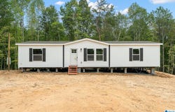100 COUNTY ROAD 3150, HOUSTON, AL 35572