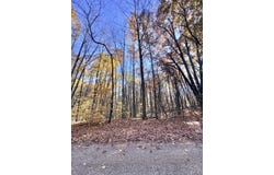 Alps Drive, Reed City, MI 49677