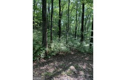 Maple Leaf Drive, Dillard, GA 30537