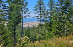 NKA E Belmont Rd, Mica, WA 99023