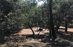 Tully Place, Cambria, CA 93428