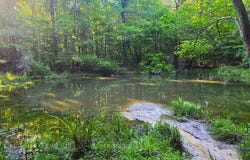 Hamilton Road, Prentiss, MS 39474