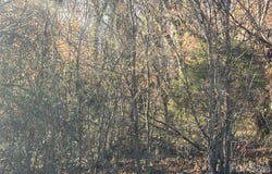 Hollywood Drive, Spencer, NC 28158
