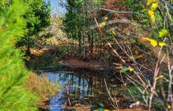 Crescent Rd, Warrens, WI 54666
